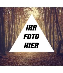 Hintergrund Collage aus dreieckigen Luft hipster auf einem Hintergrund von Bäumen
