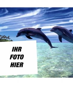 Postal Urlaub mit Ihrem Bild zu bearbeiten und mit zwei Delphine