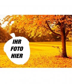 Goldener Herbst Bäume Fotorahmen förmigen Eichel