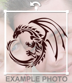 Tattoo-Aufkleber mit dem Schatten eines Drachen 