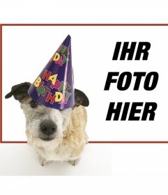 Geburtstag-Rahmen mit einem Welpen mit Hut Partei in den Vordergrund