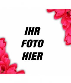 In den Fotos Ihrer Liebe einen Rahmen von roten Blumen, um ihnen einen romantischen Look online