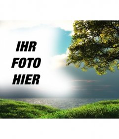 Fotomontage mit einer Landschaft mit dem Meer im Hintergrund und einem Baum in der grünen Wiese, wo man ein Bild, das mit dem blauen Himmel integriert erscheint hochladen können