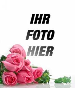 Fotomontage mit rosa Rosen mit weißen Hintergrund mit Farbverlauf zu Ihrem romantischen Fotos platzieren