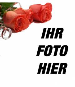 Schmücken Sie Ihre Fotos mit roten Rosen, die einen romantischen Touch geben wird. Legen Sie Ihr Foto auf den Hintergrund