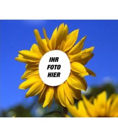 Lustige Fotomontage Ihr Gesicht auf einem schönen Sonnenblumen
