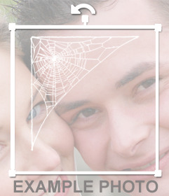 Cobweb in Ihren Fotos als Online- und dekorativen Effekt hinzufügen weißen