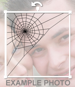 Ein Aufkleber von Spinnennetz auf Ihr Foto online hinzufügen dieses Spinnwebe in