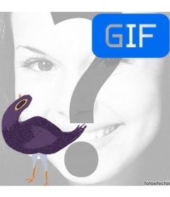 Trash-Tauben meme GIF-Animation Ihr Foto in zu setzen