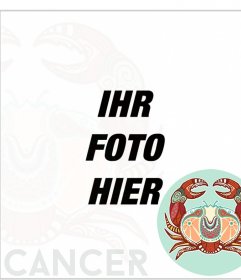 Foto-Effekt Online-Tierkreiszeichen des Krebses