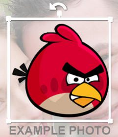 Big Bird de mettre sur vos photos si vous aimez Big Red caractère des oiseaux de Angry Birds de Angry Birds jeu pour décorer vos photos si vous aimez ces drôles doiseaux. autocollant gratuit pour éditer vos photos