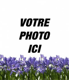Créer un avatar pour Twitter ou Facebook avec des fleurs lilas sur votre photo de profil en ligne et gratuit