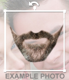 Beard 1
