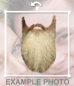 Barbe 2