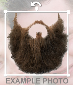 Barbe