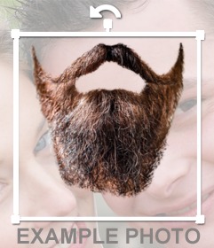 barbe