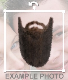 barbe