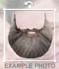 barbe-123sd