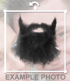 beard-ec