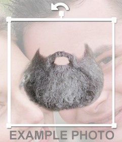 barbe