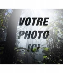 Collage à partir d"une photo dans une forêt entourée par la nature et les arbres où vous pouvez ajouter une photo ou un texte en ligne