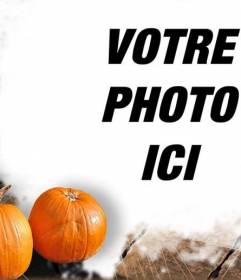 Cadre photo avec des citrouilles halloween background spécial.