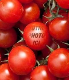 Jeu éducatif où vous placez une image dans une tomate pour les enfants d"apprendre à manger des légumes d"une manière amusante