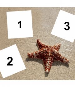 Collage déditer avec trois photos avec une étoile de mer et gratuitement
