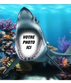 Votre photo dans la bouche dun requin sous la mer avec ce photomontage amusant