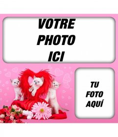 Photomontages romantique avec les chatons et les coeurs avec un fond rose pour placer deux images de lamour. 
