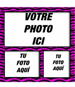 Marco fuchsia avec zébroïdes rayures noires pour faire des collages avec 3 photos en ligne
