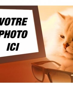 Photomontage dun chat sennuie voir votre photo dans lequel vous mettez limage que vous voulez