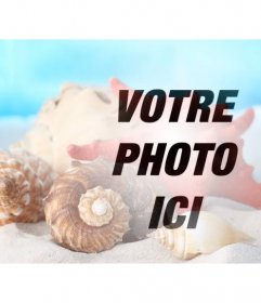 Photomontage de faire un collage avec des coquillages et des conques dans le sable sur la plage sur une photo de vous