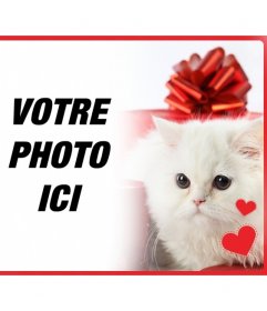 Carte postale romantique avec chaton persan blanc avec des coeurs en face dune boîte-cadeau et la photo que vous téléchargez en ligne