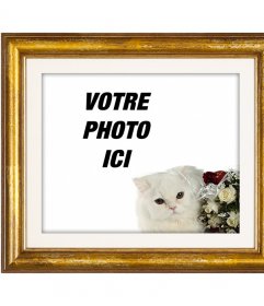Cadre photo or avec un chat persan blanc et des roses rouges et blanches pour mettre votre photo damour avec votre copain ou copine