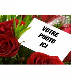 Fleurs virtuelles cadeaux avec ce cadre photo pour une photo, qui apparaît entouré