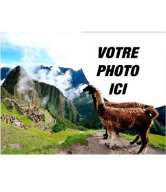 Effet photo avec les ruines de Machu Picchu