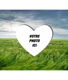 Amour PhotoFrame de mettre un coeur romantique en forme dimage sur un paysage avec un champ de blé vert et bleu ciel