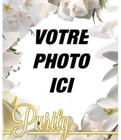 Cadre photos de fleurs blanches, roses et de lys
