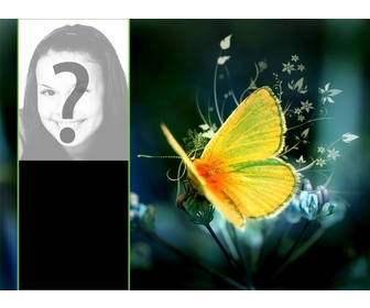 Fond décran pour deux photos avec un papillon jaune perché sur une fleur