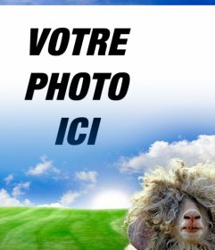 Photomontage avec un mouton et un vert prairie fond