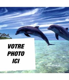 Postale de vacances pour modifier avec votre photo et lajouter avec deux dauphins