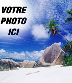 Photomontage pour faire un collage avec votre photo et le ciel de cette île paradisiaque. Voir palmiers derrière des rochers de la plage, une mer turquoise et le ciel bleu avec des taches de nuages blancs