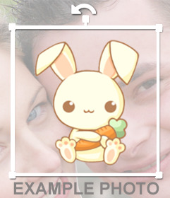 Bumper dessin lapin tenant une carotte si adorable