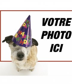 Cadre danniversaire avec un chiot avec chapeau de fête au premier plan