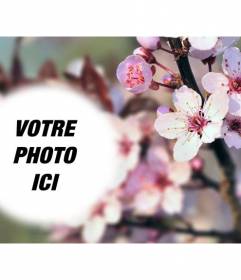 Photomontage sur un fond flou de fleurs de cerisier et un semi-PhotoFrame arrondi à placer votre photo