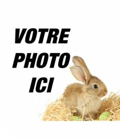 Photomontage avec un lapin et oeufs de pâques pour ajouter à vos photos en ligne et gratuit
