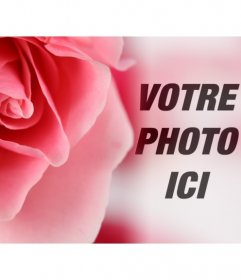 Photomontage romantique avec une rose rose et le flou darrière-plan où superposer une photo de vous-même ou votre partenaire
