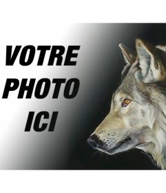 Photomontage avec une photo dun loup pour faire des collages avec vos propres images et expressions