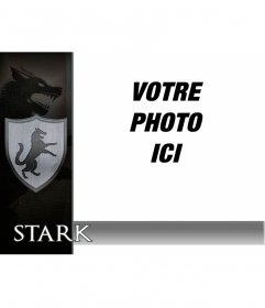 Photomontage avec le bouclier de la maison Stark